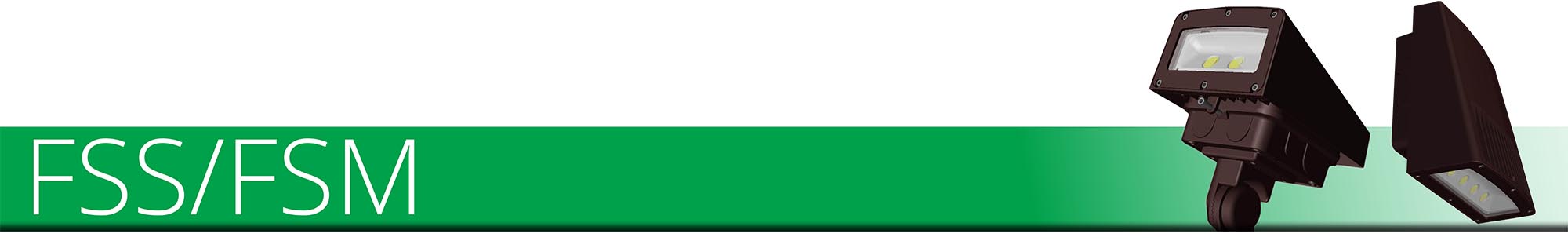 FSSFSMheader FSSFSMheader