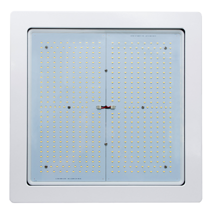 GSLsmallpng GSLsmallpng